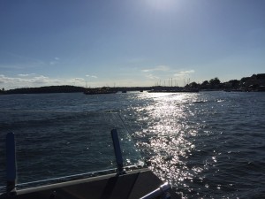 IMG_6194