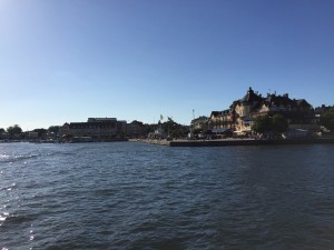 IMG_6195