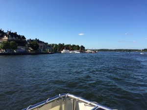 IMG_6196