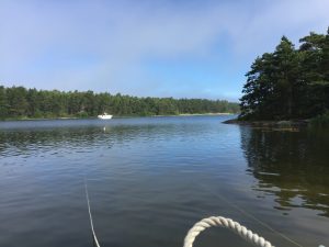 Naturhamn på Djurön 