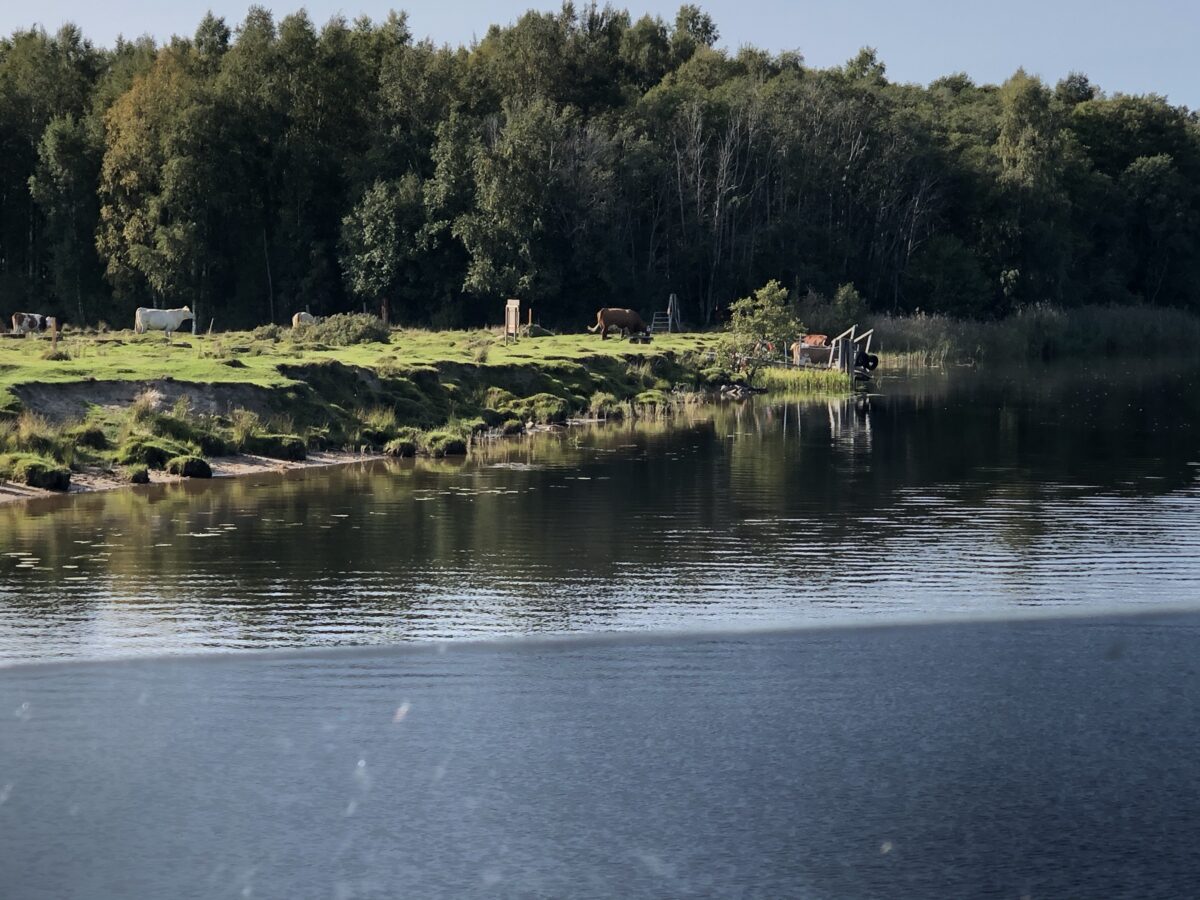 På tur till KD